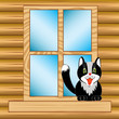 Vector: Window in house Window in house