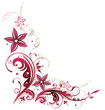 Ranke, Sommer, Blumen, Blüten, pink