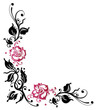 Vektor: Ranke, Rosen, Rosenranke, Blumen, Blüten, pink Ranke, Rosen, Rosenranke, Blumen, Blüten, pink