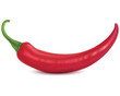 Chilli. Vector illustration