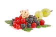 strauchfrucht