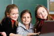 Schoolgirls working with laptop in classroom