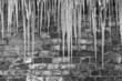 Icicles against a brick wall in black and white