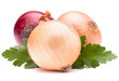 Onion vegetable bulb and parsley leaves still life