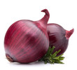 red onion and rosemary leaves