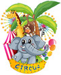 Animals In The Circus