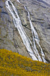 landscape near Melkevollbreen Glacier,Jostedalsbreen NP,Norway