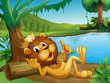 A king lion lying in a trunk at the riverside