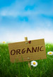 Organic Sign, Natural Land