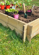 plantation dans bac en bois