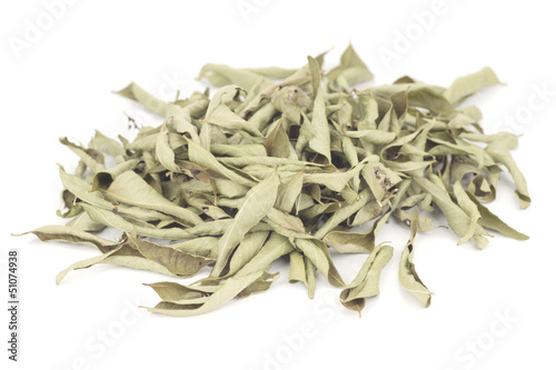 Photo: Dried Curry Leaves; Non sharpened file Dried Curry Leaves; Non sharpened file