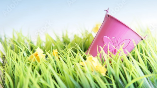 Photo: Frühlingswiese Frühlingswiese