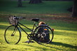 Woman sat next to a bike in a field