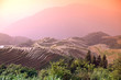 Longji rice terraces, Guangxi province, China