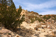 Treasures of New Mexico