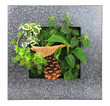 Contemporary wall planter