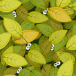 Animal Eyes Inside Green Leaves Seamless Background