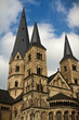Bonner Münster