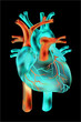 Illustration: Herz, Anatomie/ Illustration invert, blau orange Herz, Anatomie/ Illustration invert, blau orange