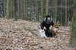 Frau im Wald