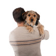 Foto: Man Holding a Borkie Dog Man Holding a Borkie Dog
