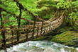Pont de lianes et bambou Kazura-bashi à Oku Iya, Shikoku