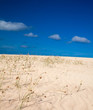 sand pattern