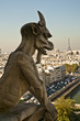 Foto: Chimäre vom Notre Dame Chimäre vom Notre Dame