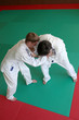 Judo fight.