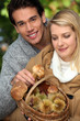 Photo: Couple gathering mushrooms Couple gathering mushrooms