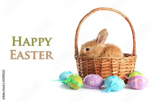 Photo: Fluffy foxy rabbit in basket with Easter eggs isolated on white Fluffy foxy rabbit in basket with Easter eggs isolated on white