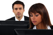 Employees sitting in front of their computers