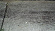 Timelapse shot of raking leaves and sweeping.