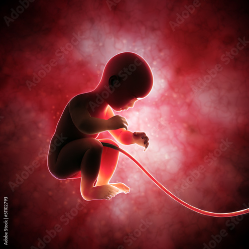 Illustration: Fetus inside the womb Fetus inside the womb