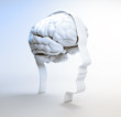 Human Intelligence andr psychology