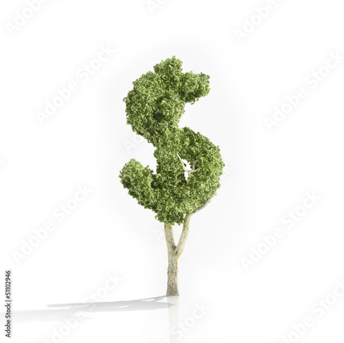 Illustration: Dollar shaped tree Dollar shaped tree