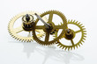clockwork gears on white