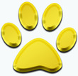 3d golden pet paw illustration