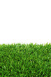 Photo: grass grass