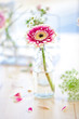 canvas print picture - Fresh flowers in little glass bottles