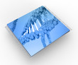 Microprocessor