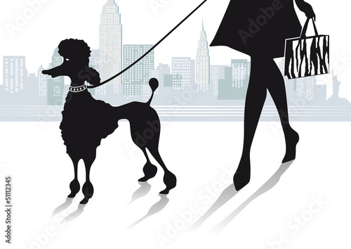 Vector: Mädchen mit Pudel in der Stadt Mädchen mit Pudel in der Stadt