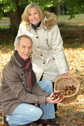 Photo: Middle-aged couple gathering chestnuts Middle-aged couple gathering chestnuts