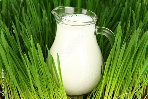 Photo: Glass pitcher of milk standing on grass close up Glass pitcher of milk standing on grass close up