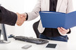 Businesswoman with briefcase man shakes the hand