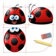 progetto coccinella