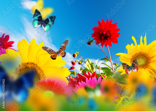Photo: Sunny garden of flowers and butterflies. Colors of spring summer Sunny garden of flowers and butterflies. Colors of spring summer
