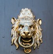 Lion head door knocker