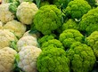 Close-up view of cauliflowers