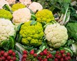 Choice of cauliflowers and bunches of radish on market